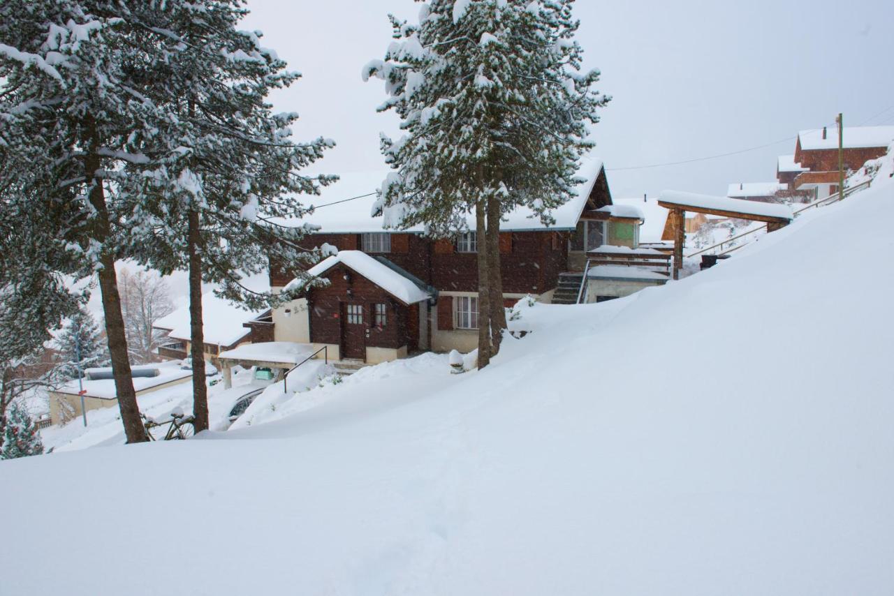 לייסין Chalet 4 Personnes Avec Sauna מראה חיצוני תמונה