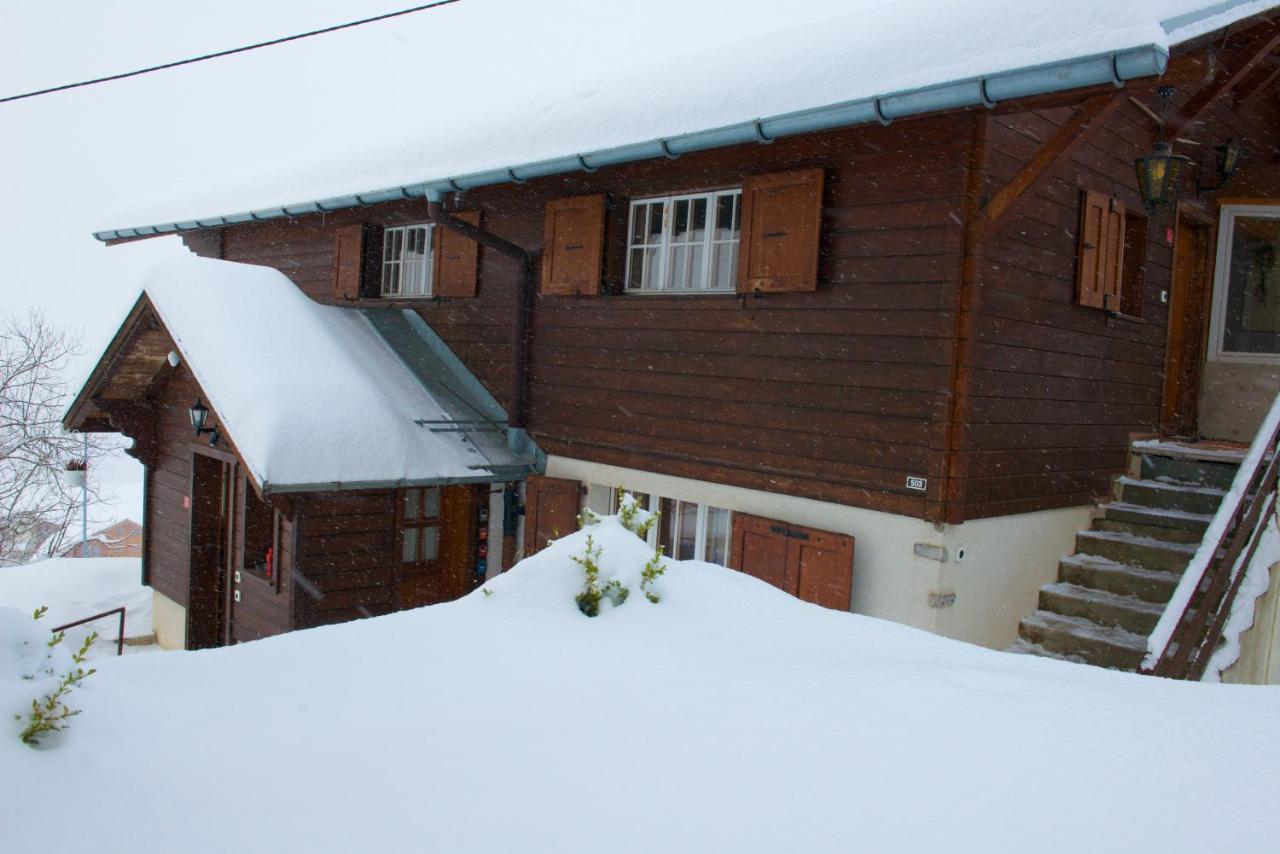לייסין Chalet 4 Personnes Avec Sauna מראה חיצוני תמונה