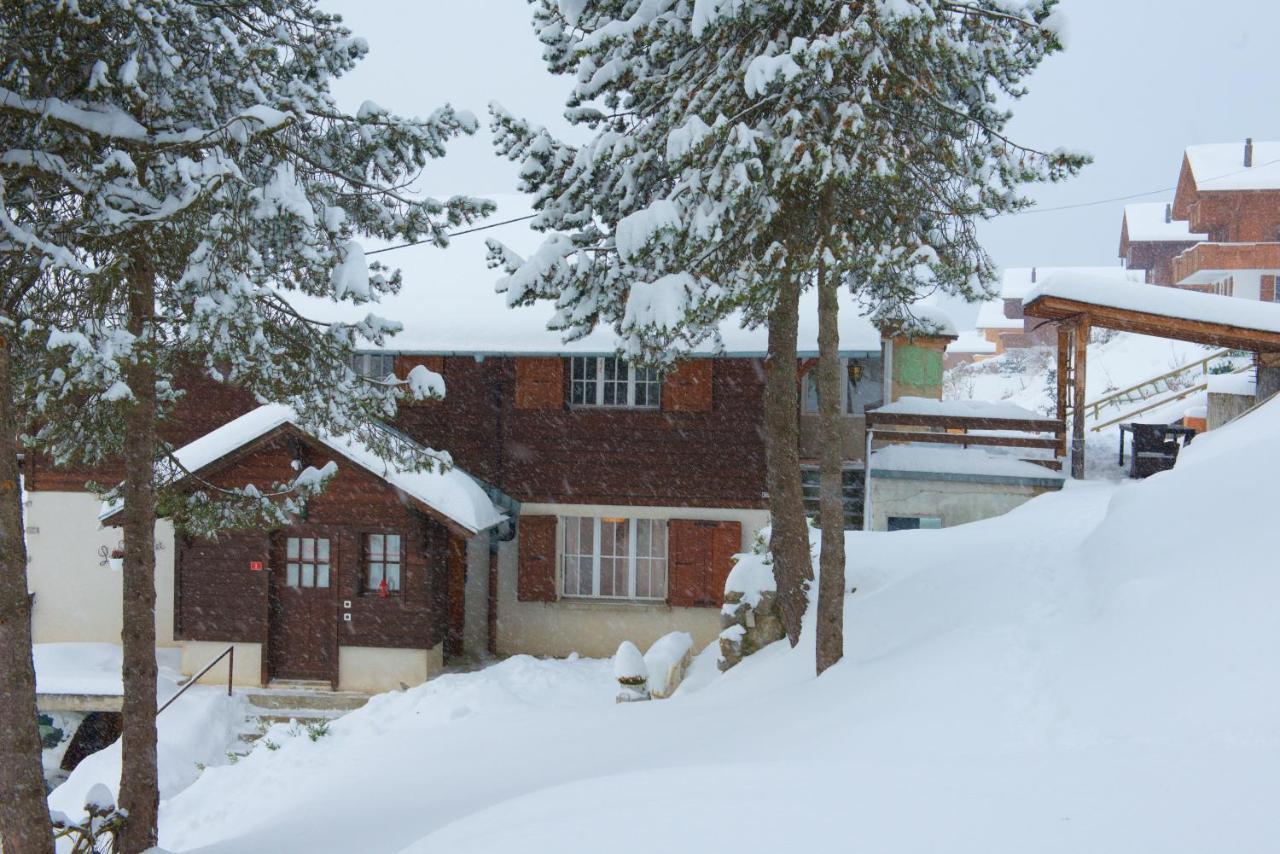 לייסין Chalet 4 Personnes Avec Sauna מראה חיצוני תמונה